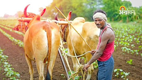 PM Kisan 23rd Installment