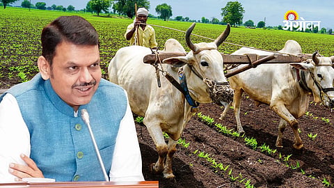 Farm Loan Waiver Eligibility Criteria