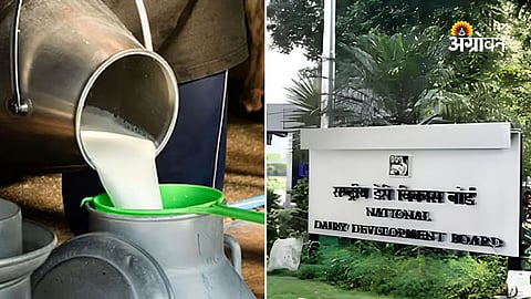 Maharashtra government approves NDDB takeover