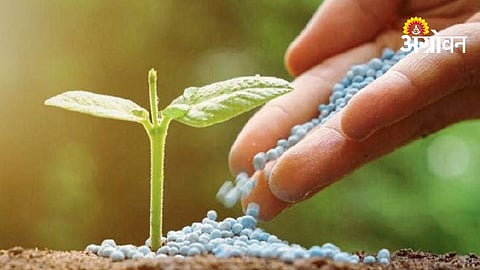 Fertilizer Shortage