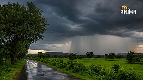 Maharashtra rain alert latest update