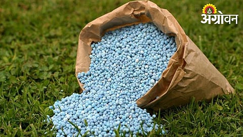 DAP Fertilizer Shortage Worries Farmers Ahead of Sowing