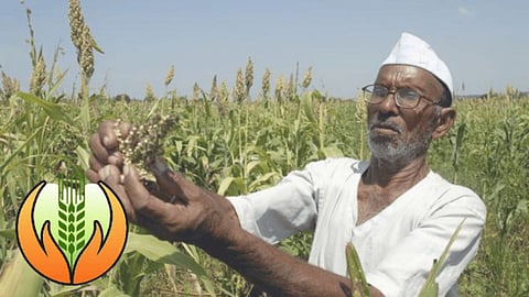 Crop Insurance