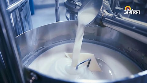Dairy farming profitability challenges in Maharashtra
