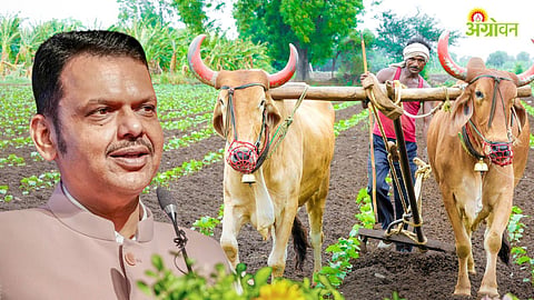 Farm Loan Waiver