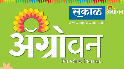 Agrowon Sarpanch Mahaparishad