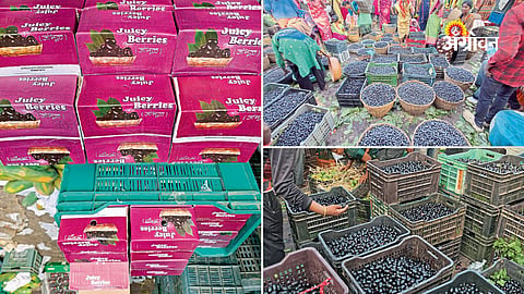 Wild jamun fruit demand in local markets