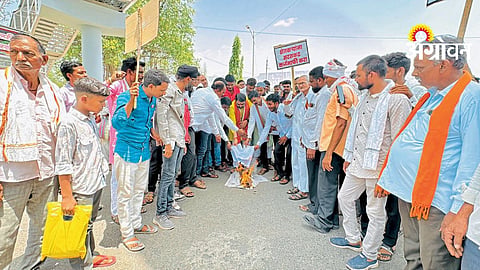 Farmer Demands