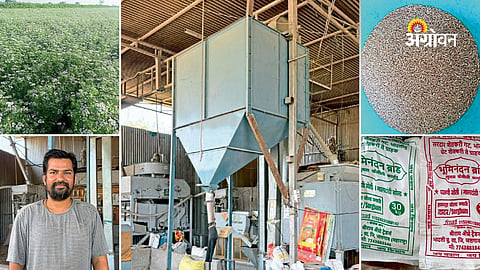 Bhuminandan brand extra bold jowar success