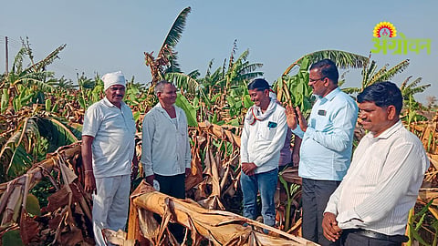 Crop Damage Compensation Demand
