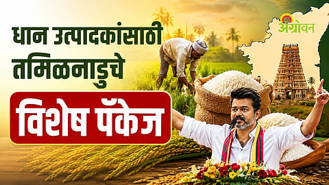 government support for paddy farmers in Tamil Nadu