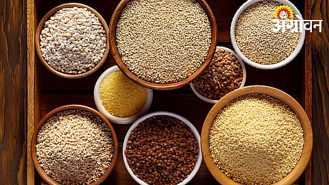 Low input high value millet cultivation practices.