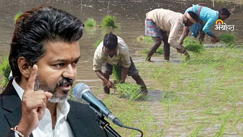 CM Vijay Decision