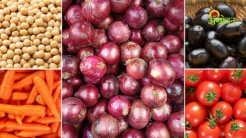 Vegetable market rates today in Maharashtra