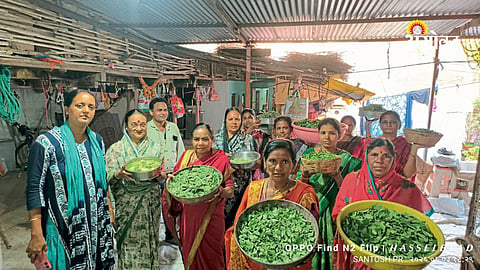 Women-led organic farming initiatives