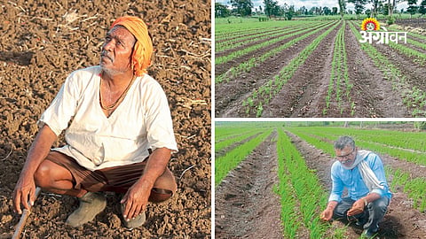 Climate impact on paddy farming in Maharashtra