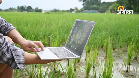Digital transformation in agriculture department