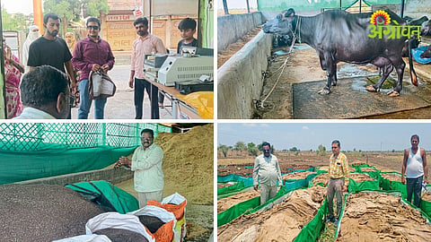 Dairy Farming Success Story