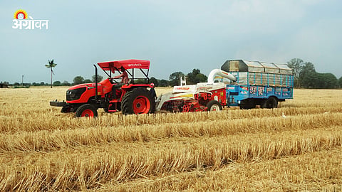Tractor Sales 