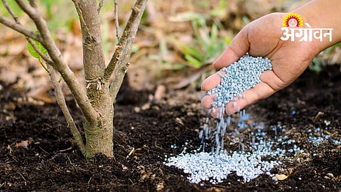 Best Fertilizer Practices For Different Soil Types