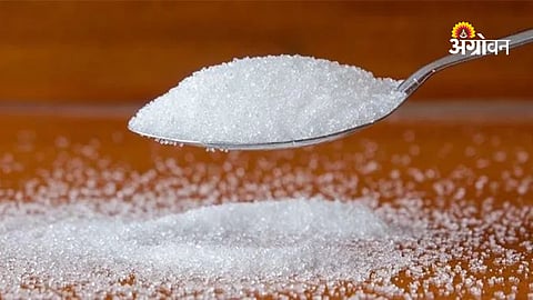 Sugar industry outlook for 2026