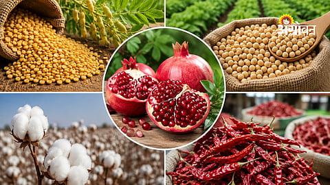 APMC market rates for farmers today