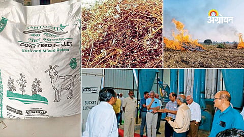 Sustainable animal feed from agricultural waste