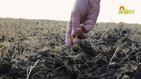 delayed monsoon affects kharif sowing season