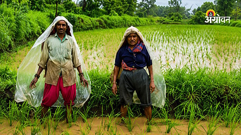 FAO warning on El Nino impact on Indian agriculture