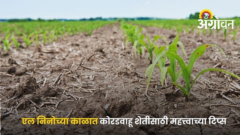 Smart Dryland Agriculture Tips For Uncertain Monsoon