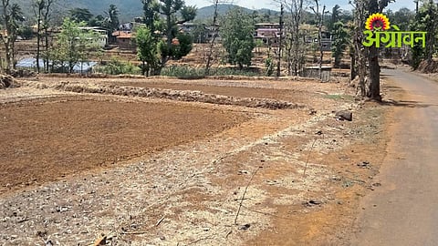 Re Sowing Crisis