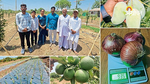 Orchard Management Technique