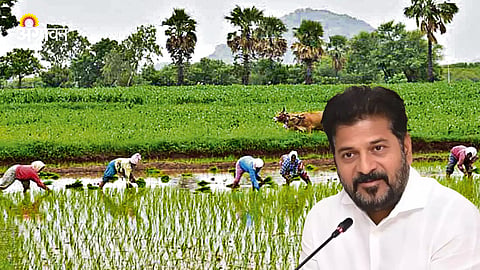 Telangana Agriculture
