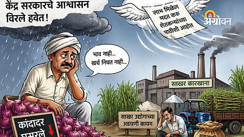 Central government assurances on onion farmers and sugar sector