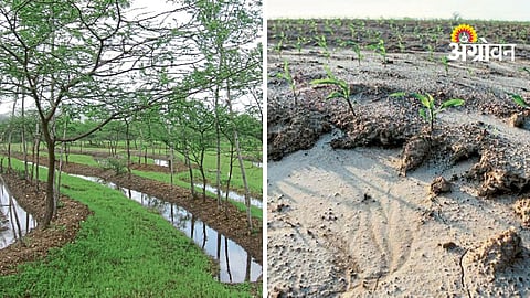 Watershed Management