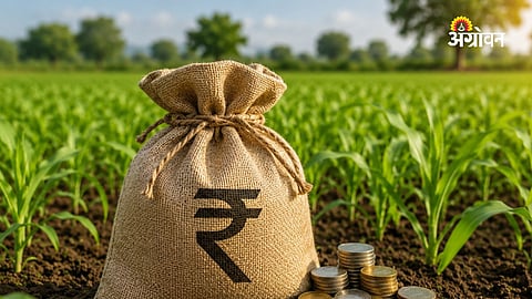 APL Farmer Scheme