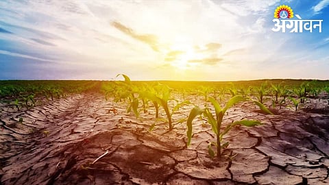 Parbhani Records Below-Average Monsoon in 9 of 15 Years