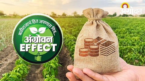 Latur Banks Retain Last Year's Crop Loan Targets