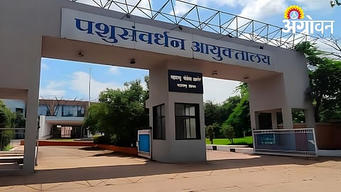 Artificial Insemination Service Providers Must Register