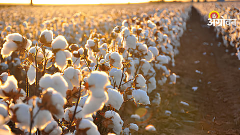 Agriculture Planning