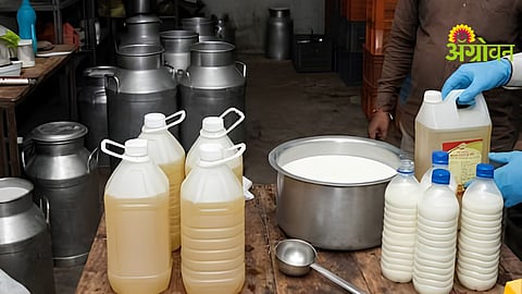 Fake Milk Case