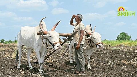 Water Conservation Measures