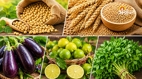 Daily Market Rate for Farmers