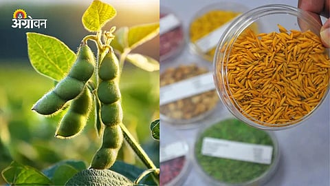 Smart Seed Coating