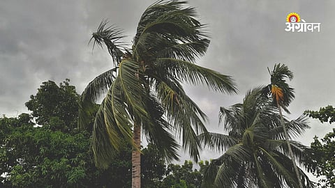 Climate conditions affecting monsoon rainfall