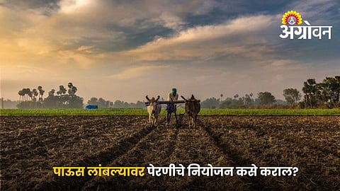 Crop Planning Tips For Low Rainfall And Uncertain Monsoon