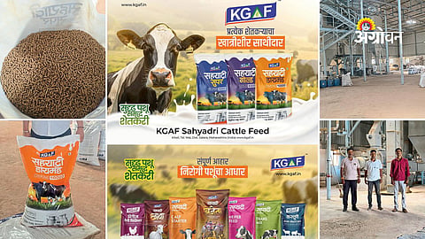 Rural entrepreneurship success in agriculture