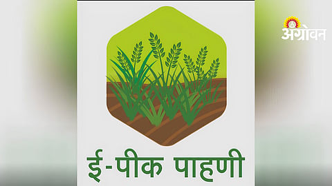 E-Crop Survey