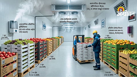Agricultural Produce Storage