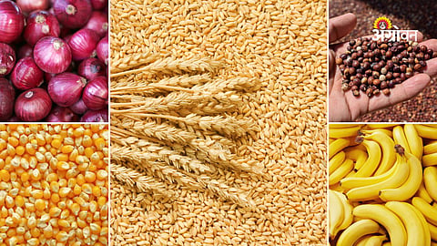 Agricultural commodity market update